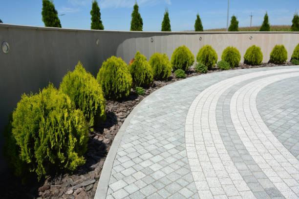 Best Driveway Repair Near Me  in Wink, TX