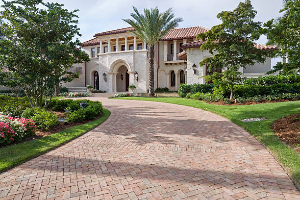 Best Driveway Pavers Contractor  in Wink, TX